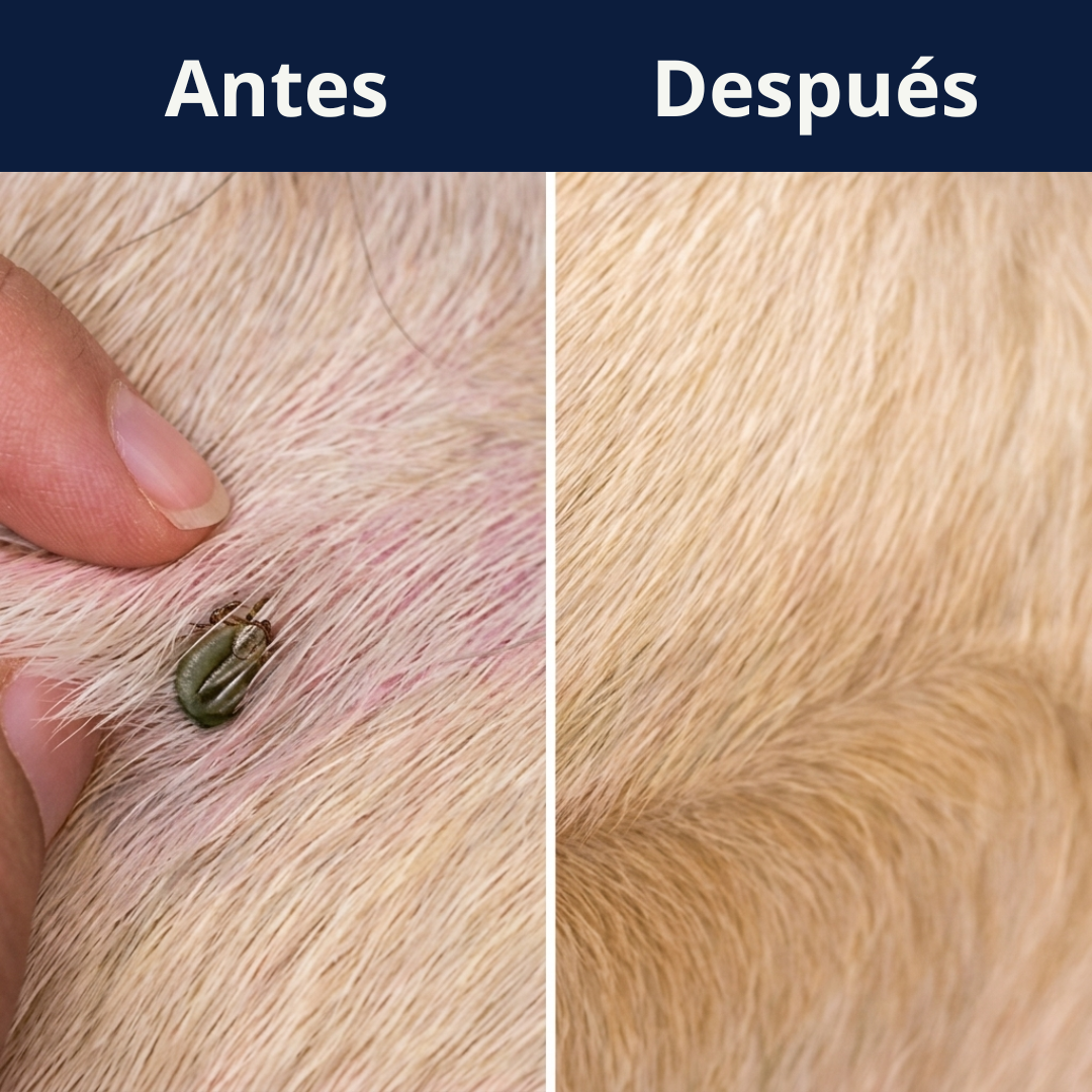Colgante natural antiparasitario