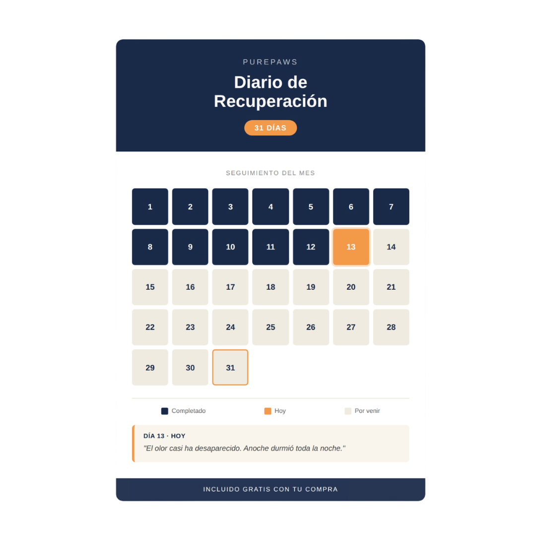 Diario de recuperación