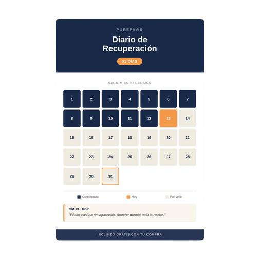 Diario de recuperación